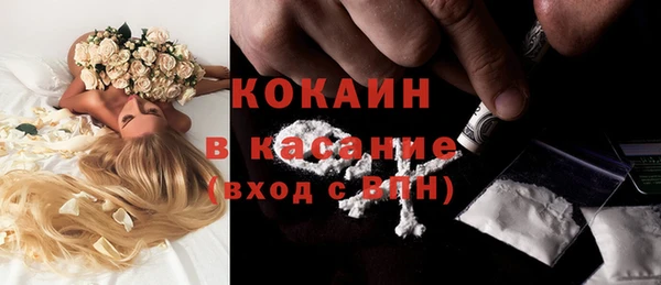 ешки Новозыбков