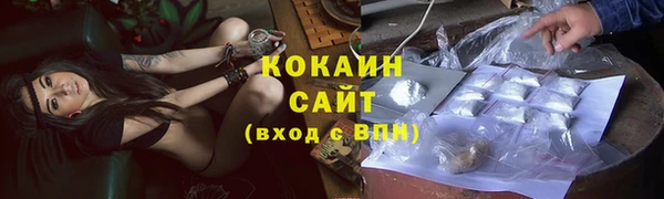 ешки Новозыбков