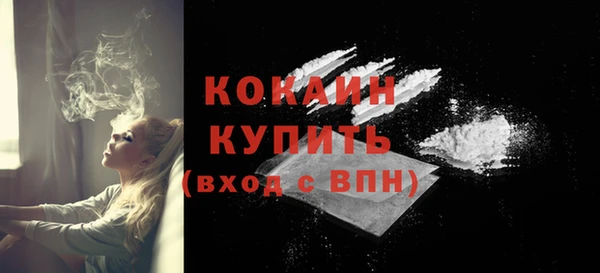ешки Новозыбков