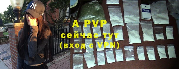 ешки Новозыбков