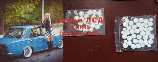 ешки Новозыбков