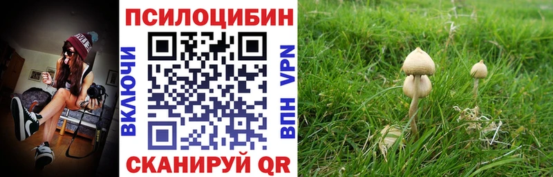 Галлюциногенные грибы мухоморы  Купить где  Шарыпово 