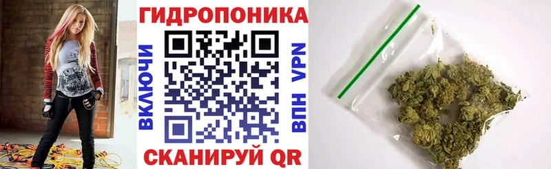 Конопля Amnesia  Купить где  Шарыпово 